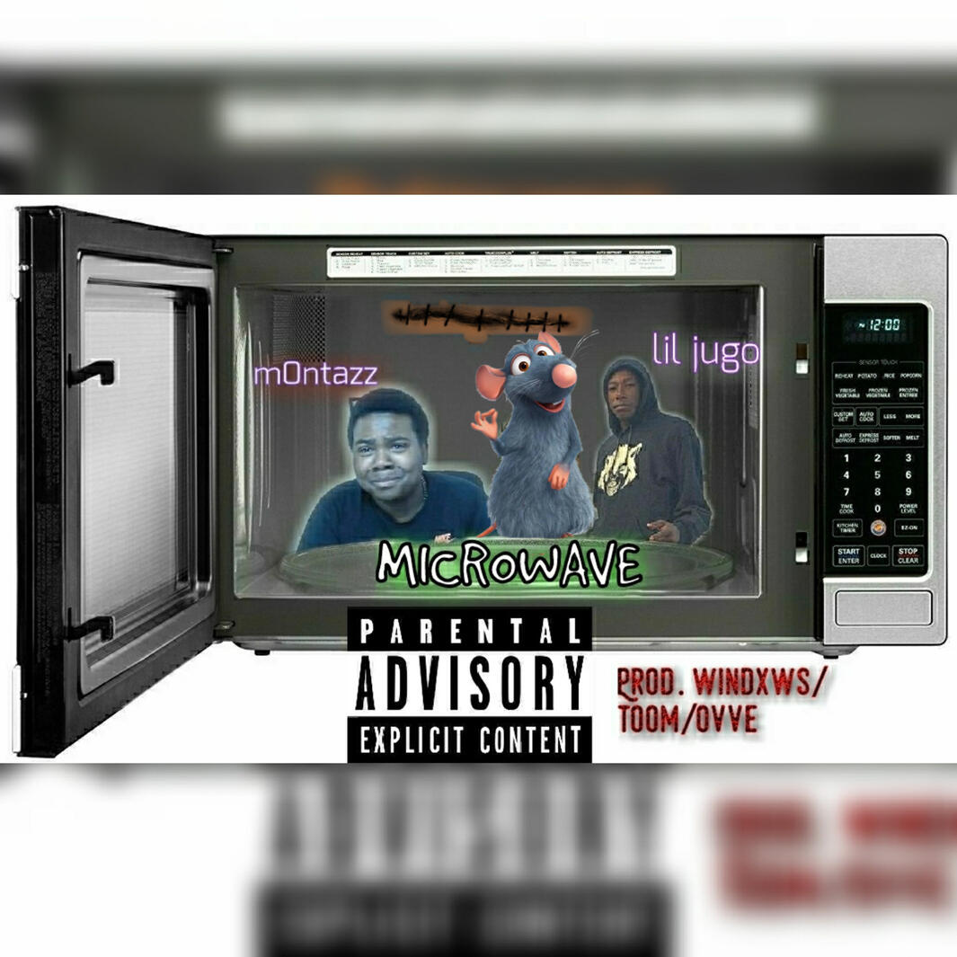 Microwave (8-10-18)