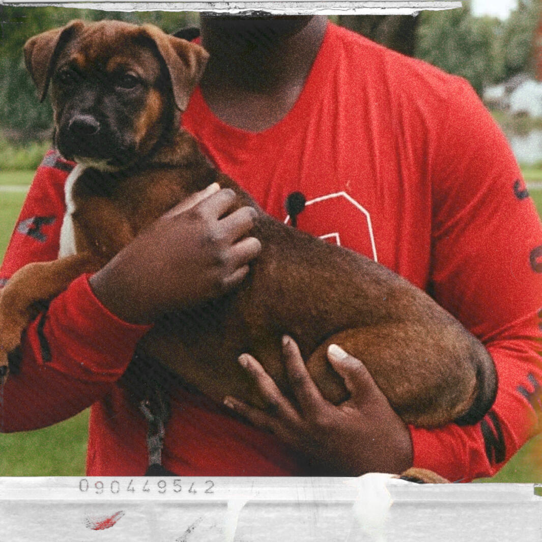 R.I.P Bosco (1-9-20)
